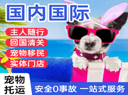 硕放空运代理国际宠物托运 【国