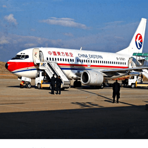 硕放空运代理航空快运业稳步发展的原因是什么？